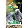 Manitoba African Parrots