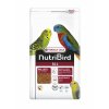 NutriBird B14