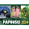 Stolni kalendar Papousci 2024 titulni strana
