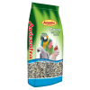 Parrot germination professional