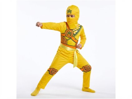 Kostým Ninjago Arin