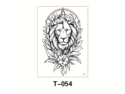 O1CN019Bflef1fiN8xofx2f !!3546764040 0 cib