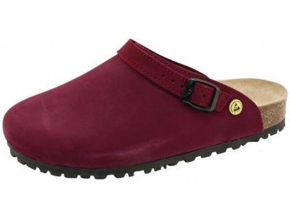 Pantofle BASIC - lesní plody (Velikost 36)