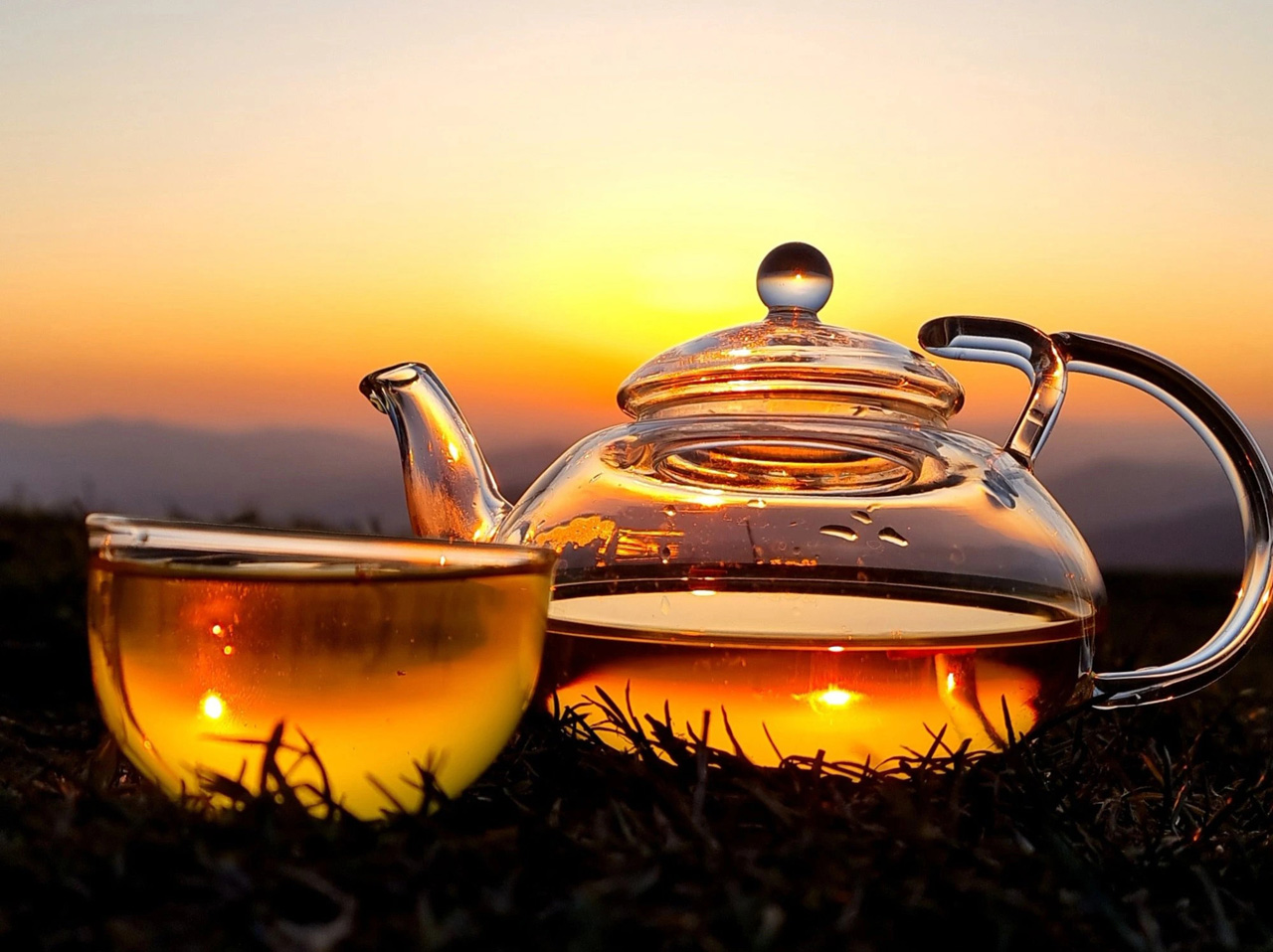 Prečo piť šafranový čaj: účinky, príprava a skutočná sila čistého šafranu