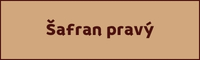 Šafran pravý