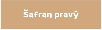 Šafran pravý