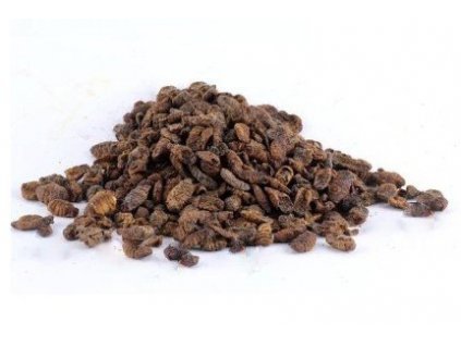 Larvy bource morušového 5 l / 1600 g