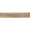 WOODLOOK OAK 10