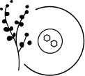 Betuldiol