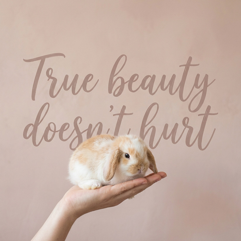 Epiderma bez krutosti – certifikace Leaping Bunny