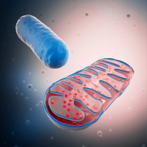10 tipů, jak hacknout své mitochondrie