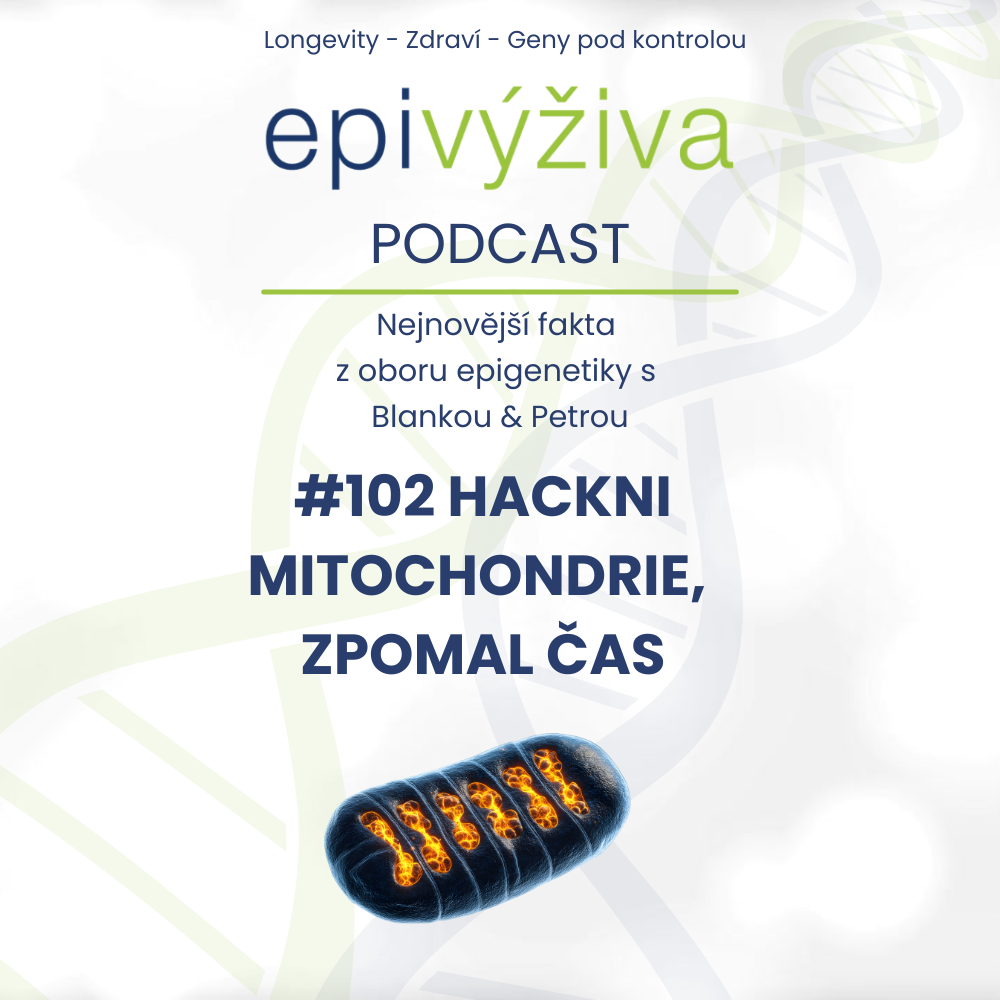HACKNI MITOCHONDRIE, ZPOMAL ČAS [podcast]