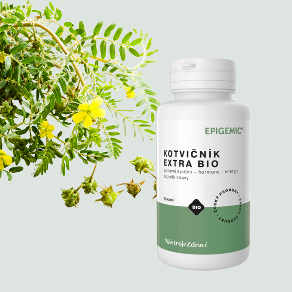 KOTVIČNÍK EXTRA BIO EPIGEMIC® podpora hormonální rovnováhy a vitality nejen pro muže, ale i pro ženy