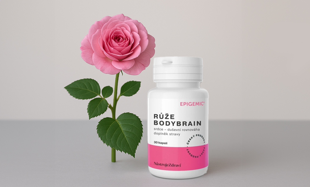RŮŽE BODYBRAIN EPIGEMIC® Unikátní síla královny květin