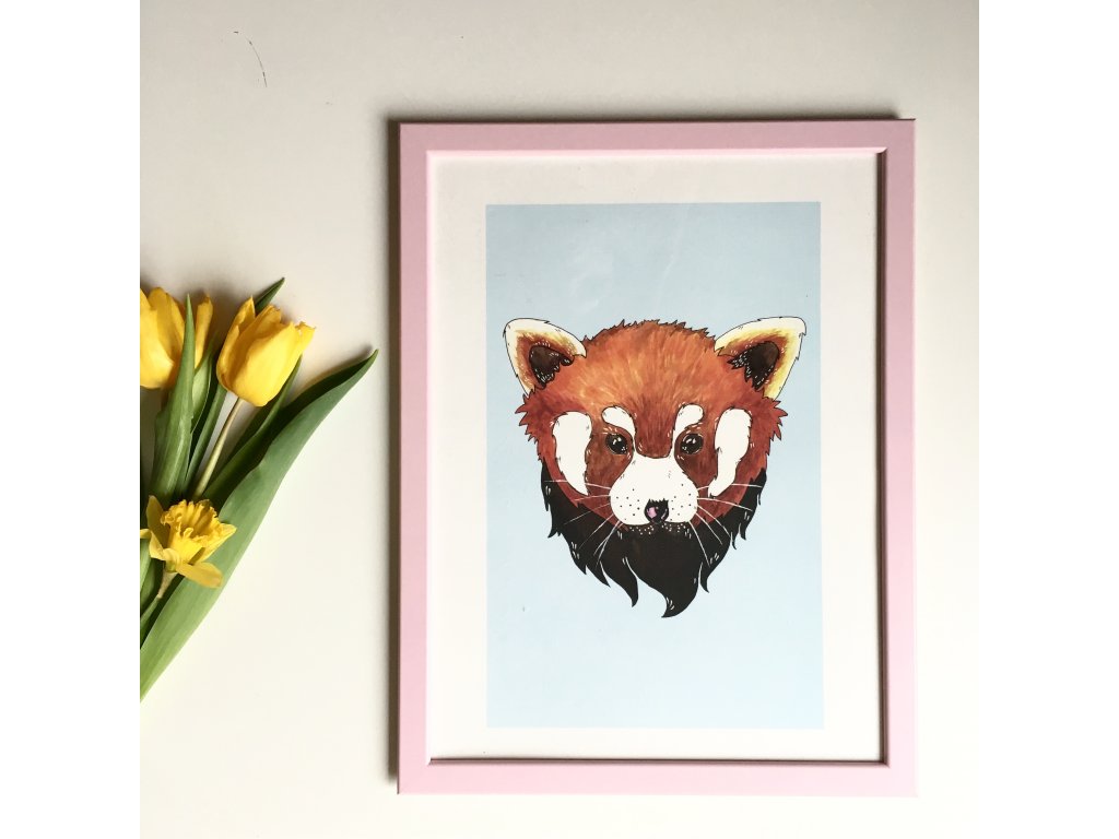 Plakát panda červená