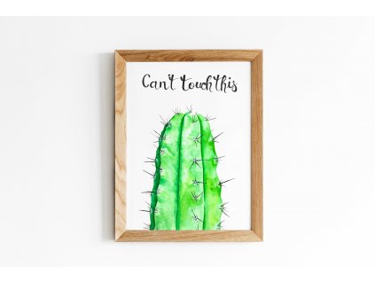 plakat kaktus