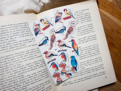 Záložka - Ptáci duhoví