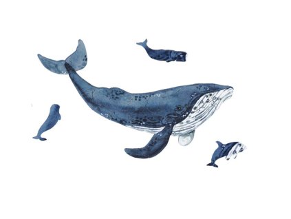 mini wooden puzzle whale by epipi