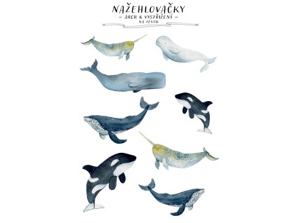 nazehlovacky velryby mockup