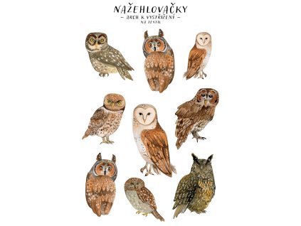 nazehlovacky sovy mockup