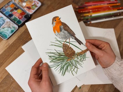 Sada omalovánek - Ptáci