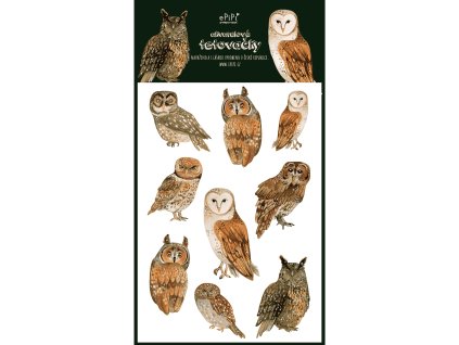 Návrh bez názvu (5)