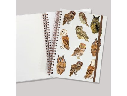 kroužkový blok sovy