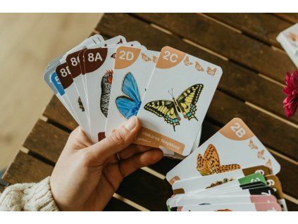 kvarteto karty 9 (1)