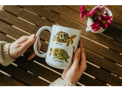 keramicky hnek 450 zelvy 4