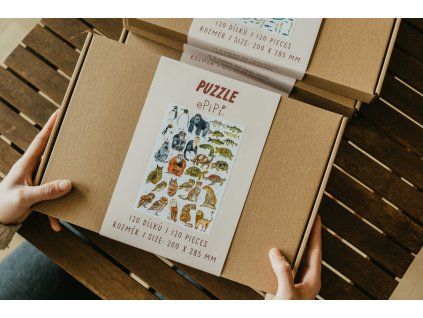 20260327 Epipi 74 (1)