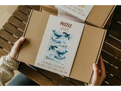 20260327 Epipi 70 (1)