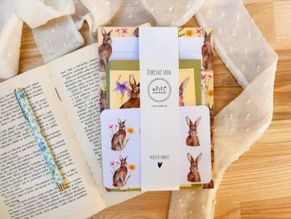 Dopisní sada - Zajíc