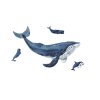 mini wooden puzzle whale by epipi