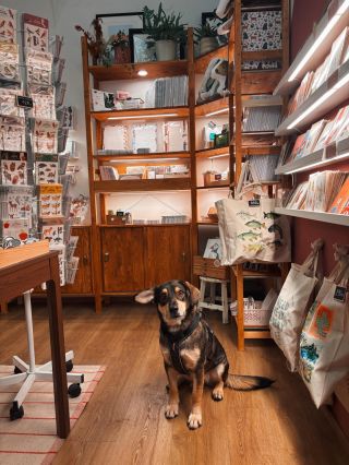 Těšíme se na vás dnes poprvé v roce 2026!❤️🐶 Nový rok jsme započali inventurou a malou rekonstrukcí prodejny.🤩 Tak se...