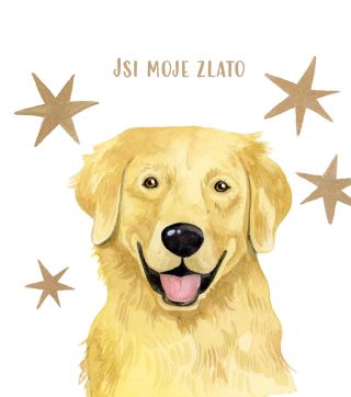 Krásný mezinárodní den zlatých retrívrů✨🥳 Happy International Golden Retriever Day✨❤️ #goldenretriever #dog #stationery...