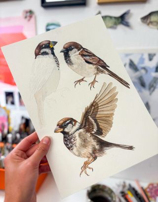Další na mém papíře jsou vrabci♥️ Next on my paper are sparrows✨ #bird #sparrow #ornitology #painting #watercolor
