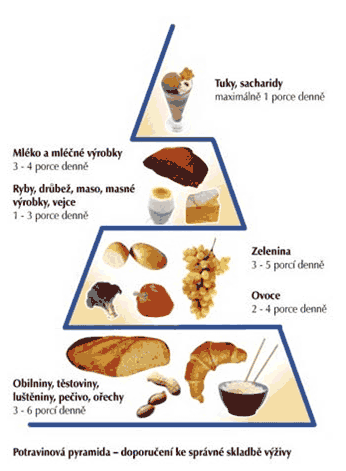 EPITA-DD-POTRAVINOVA-PYRAMIDA-3