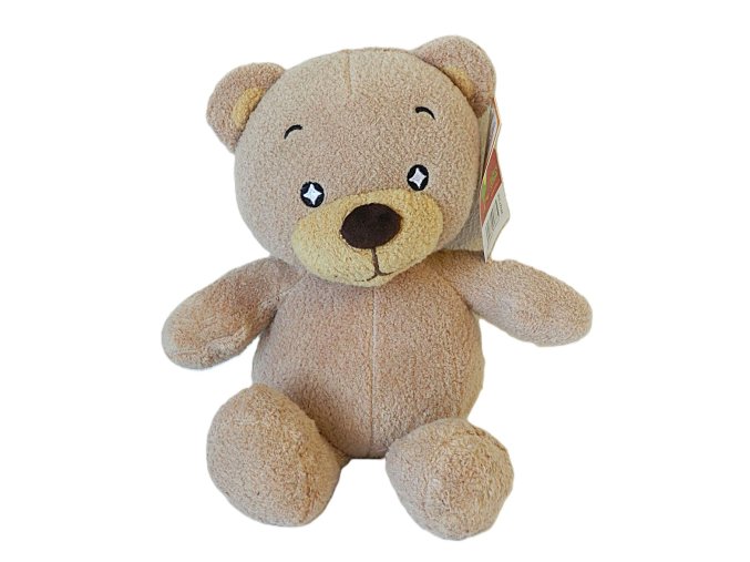 0019064 Medvěd plyš W027358.JPG