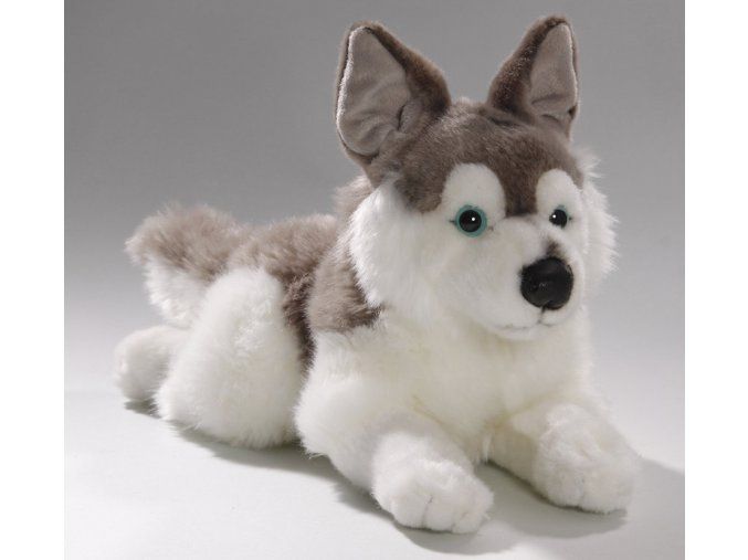 4767 pluss kutya husky 34 cm