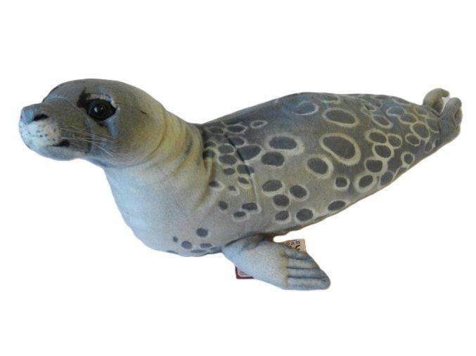 4963 pluss foka 65 cm