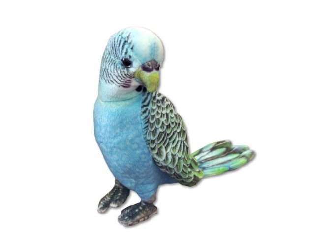 0024013 andulka B602399.jpg