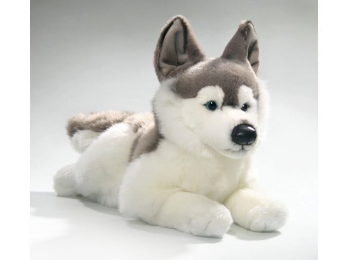 Plüss kutya - husky 42 cm