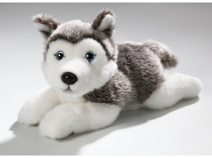 6824 pluss kutya husky 23 cm