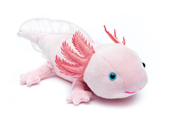 Plüss axolotl 33 cm - plüss játékok