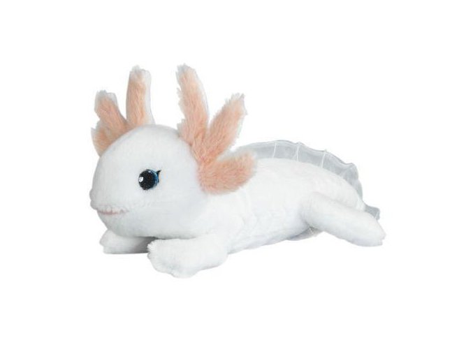 2CF2FFBA A728 4EAA 9792 EF75D2165365 axolotl np24125
