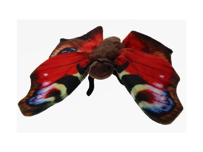 A89B8648 7A0A 4F7D 80E6 C7F97D0AA6AD motyl c1043116
