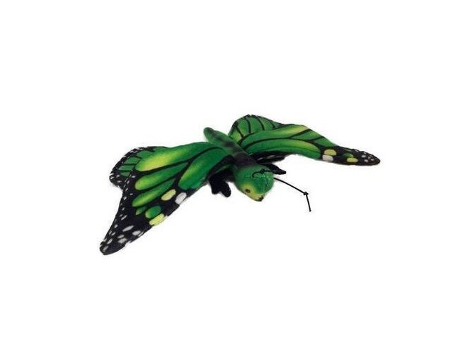 011C9F71 24AF 434F A6E4 668260B7F07B motyl zeleny b601972