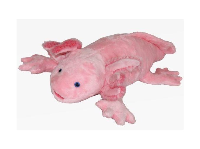 A5583C9D 3837 49FD A5F9 20130543C211 axolotl c1017300