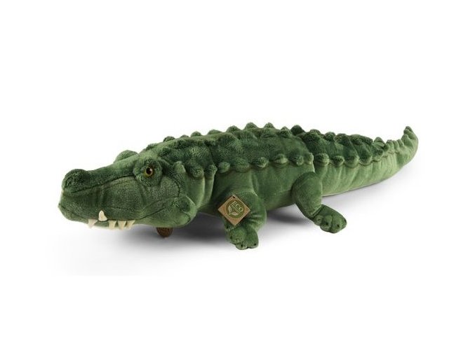0020037 krokodyl R242852.jpg