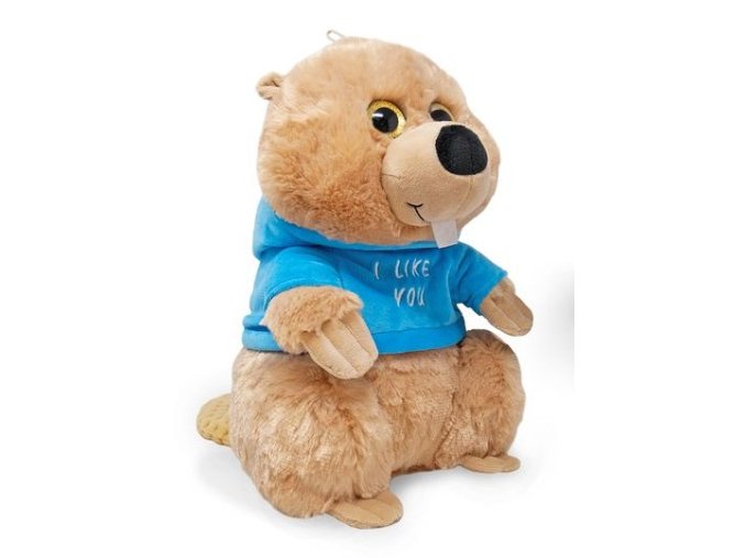 0020056 bobr LA3855.jpg